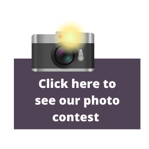 Photo contest